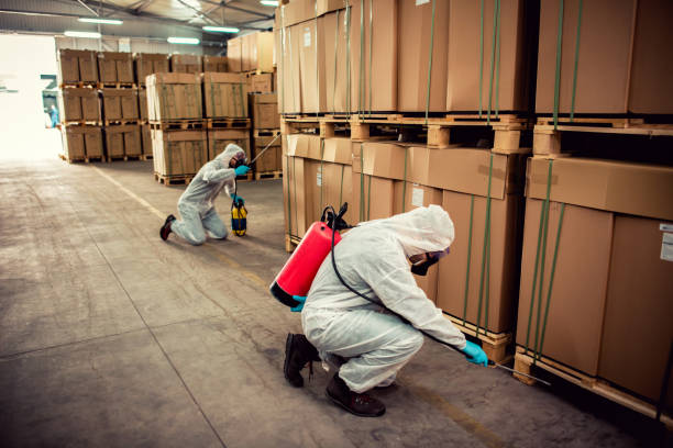 Best Residential Pest Control  in Pis, AR
