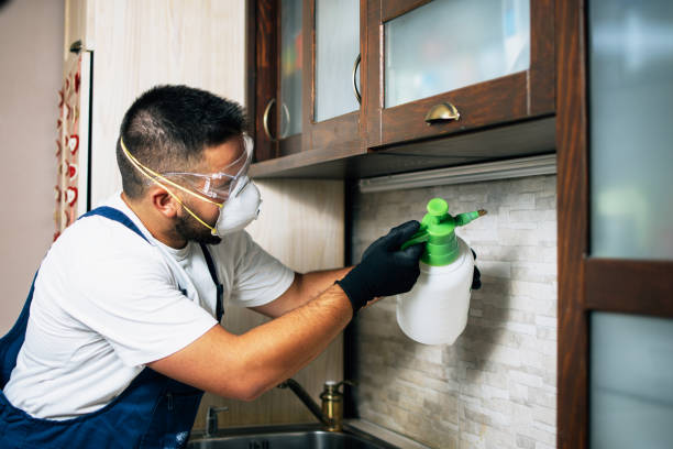 Pest Prevention Services in Paris, AR