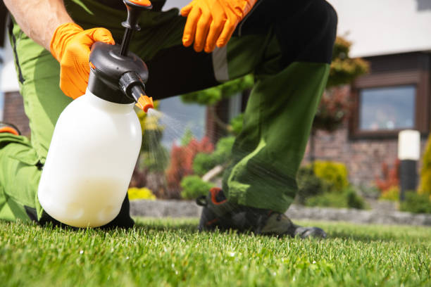 Best Local Pest Control Services  in Pis, AR