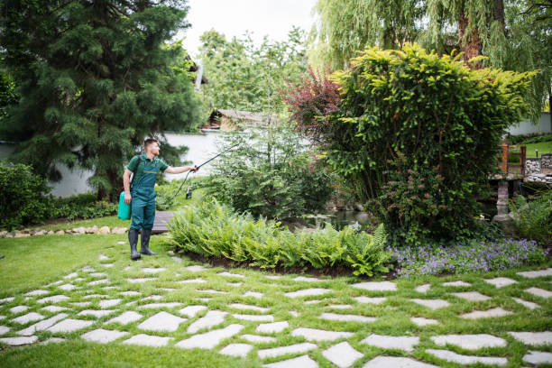 Best Pest Control Treatment  in Pis, AR