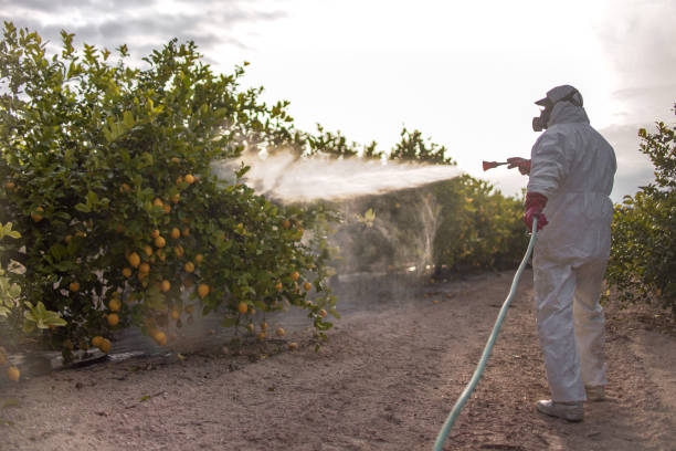Professional Pest Control in Paris, AR