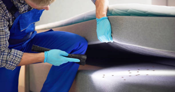 Best Best Pest Control Companies  in Pis, AR