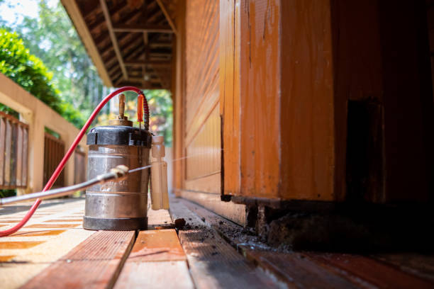 Best Cockroach Control Services  in Pis, AR