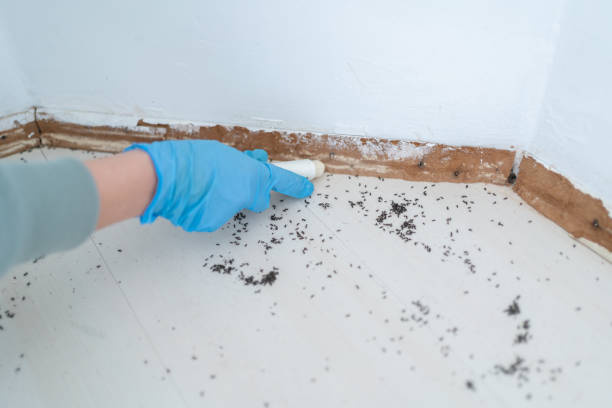 Best Wildlife Control Services  in Pis, AR