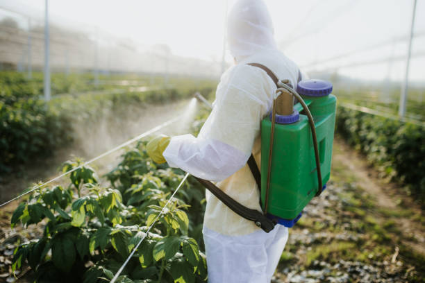 Best Local Pest Control Services  in Pis, AR